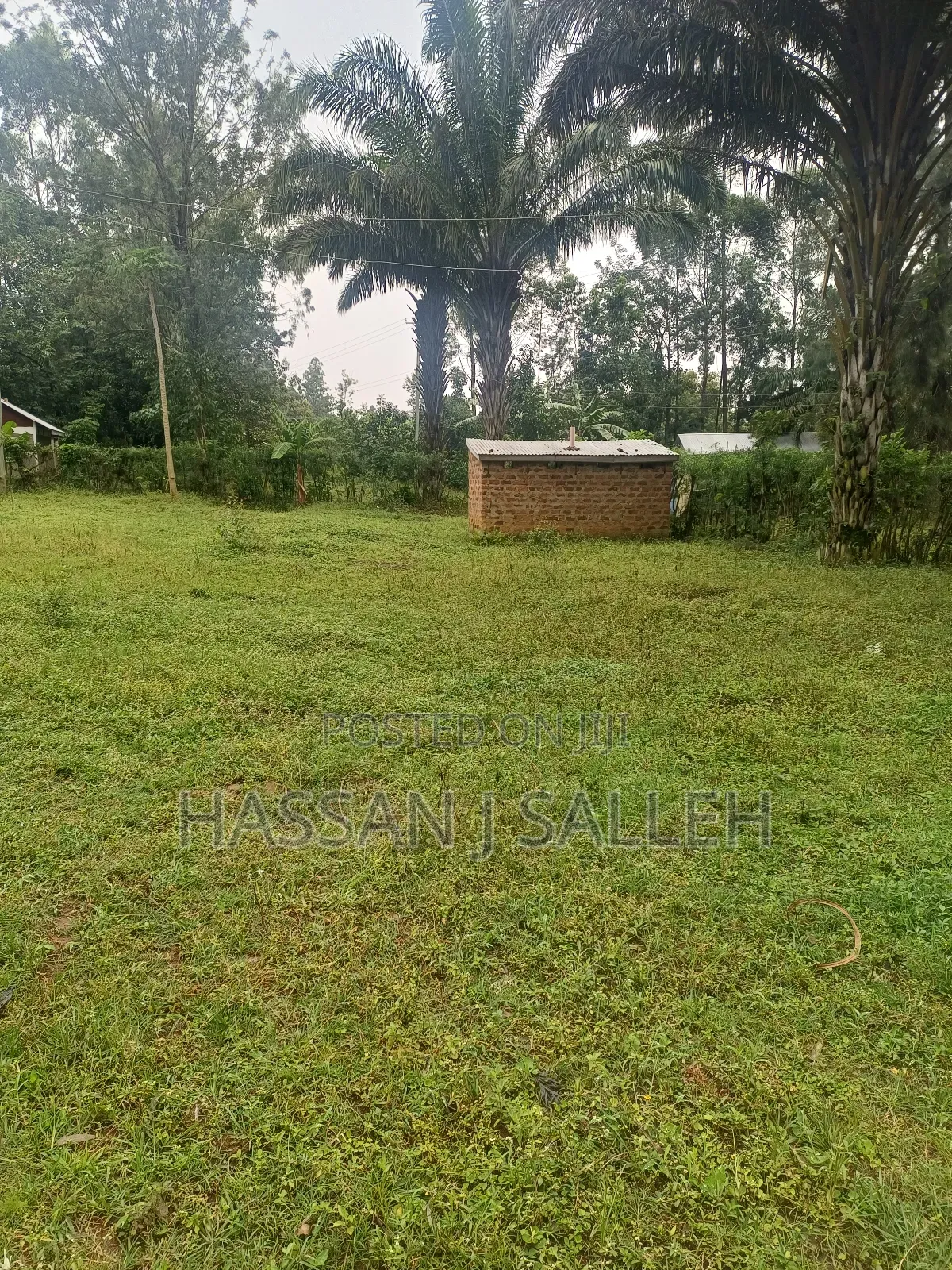 3 Plots 4 Sale St Peters Mumias in Mumias Central