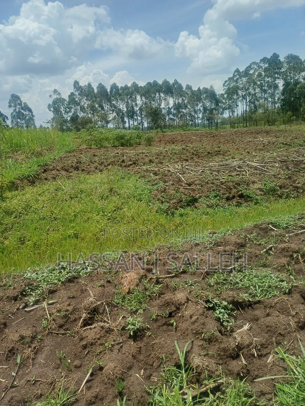 1/2acre Land Matungu in Mayoni