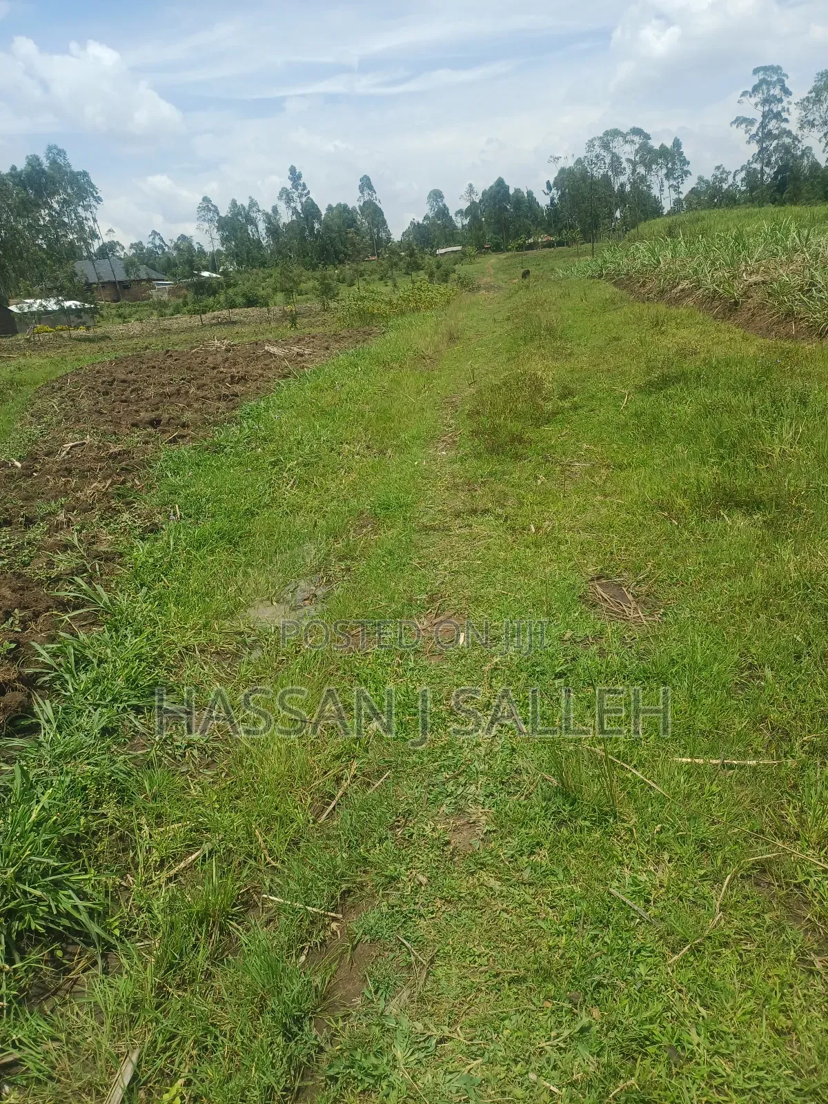 1/2acre Land Matungu in Mayoni