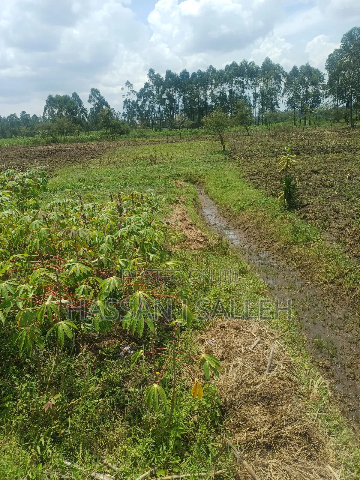 1/2acre Land Matungu in Mayoni