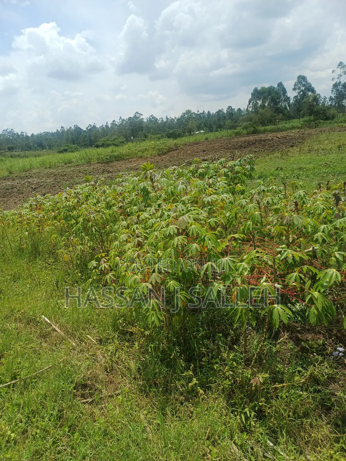 1/2acre Land Matungu in Mayoni