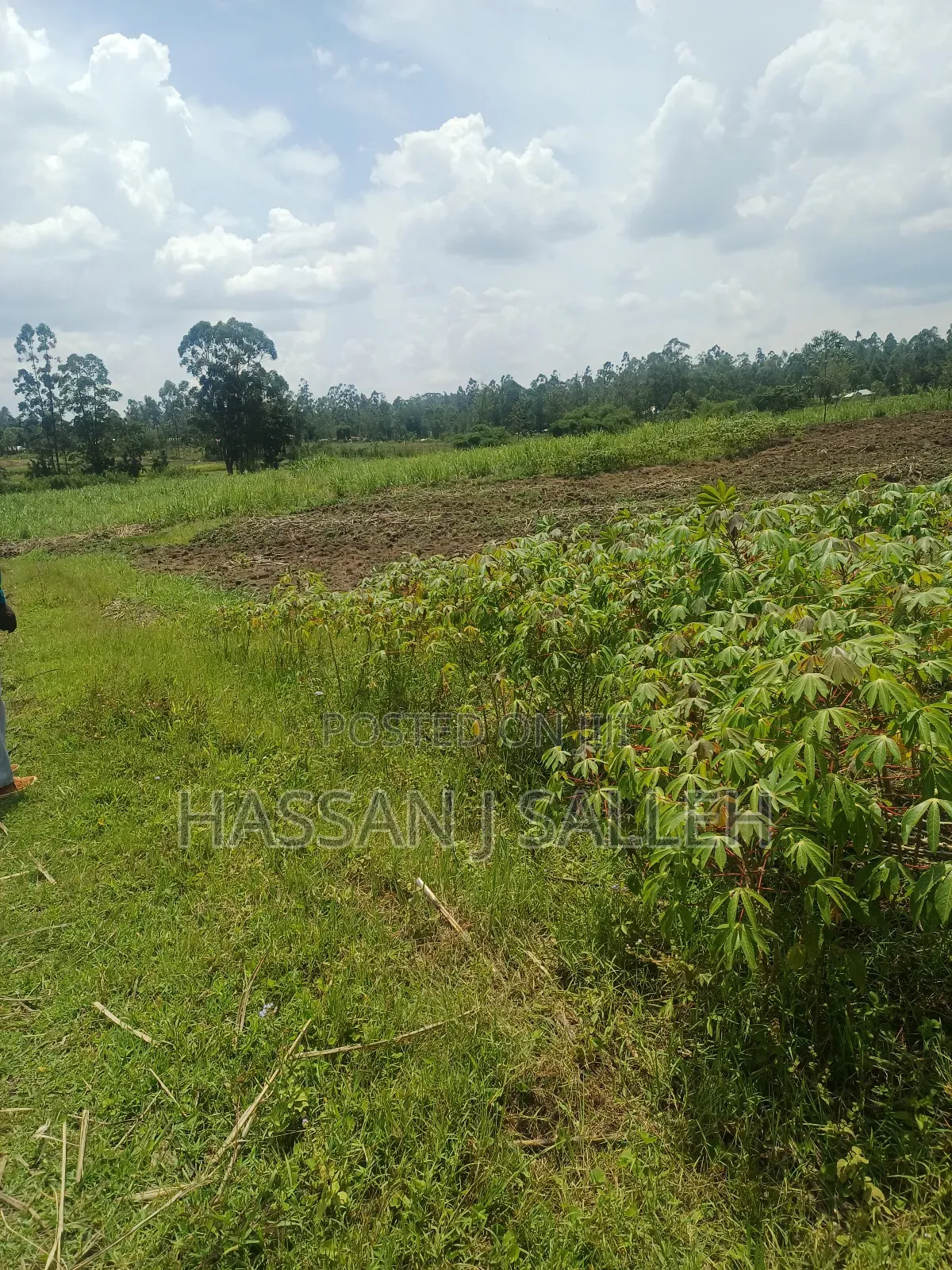 1/2acre Land Matungu in Mayoni