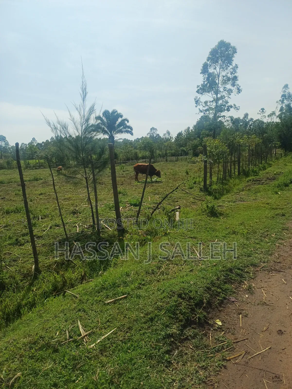 1 Acre Lureko Mumias. in Mumias Central