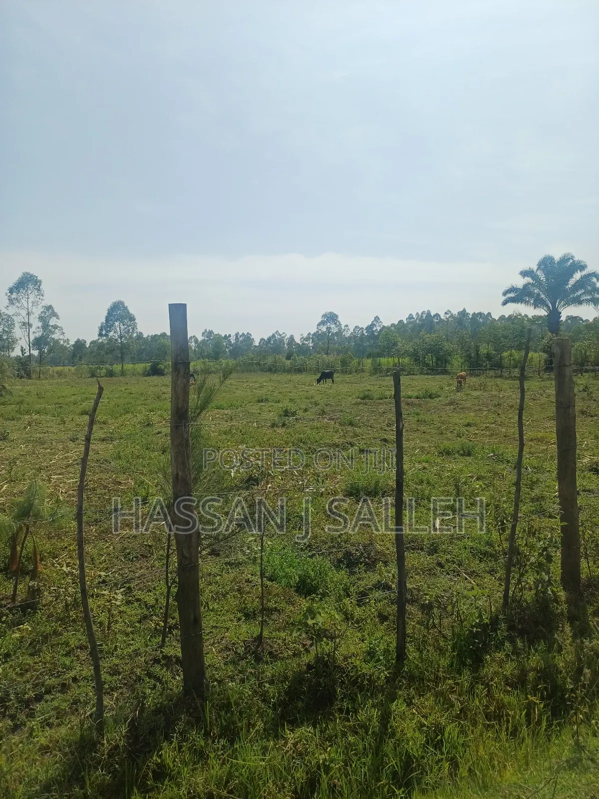1 Acre Lureko Mumias. in Mumias Central