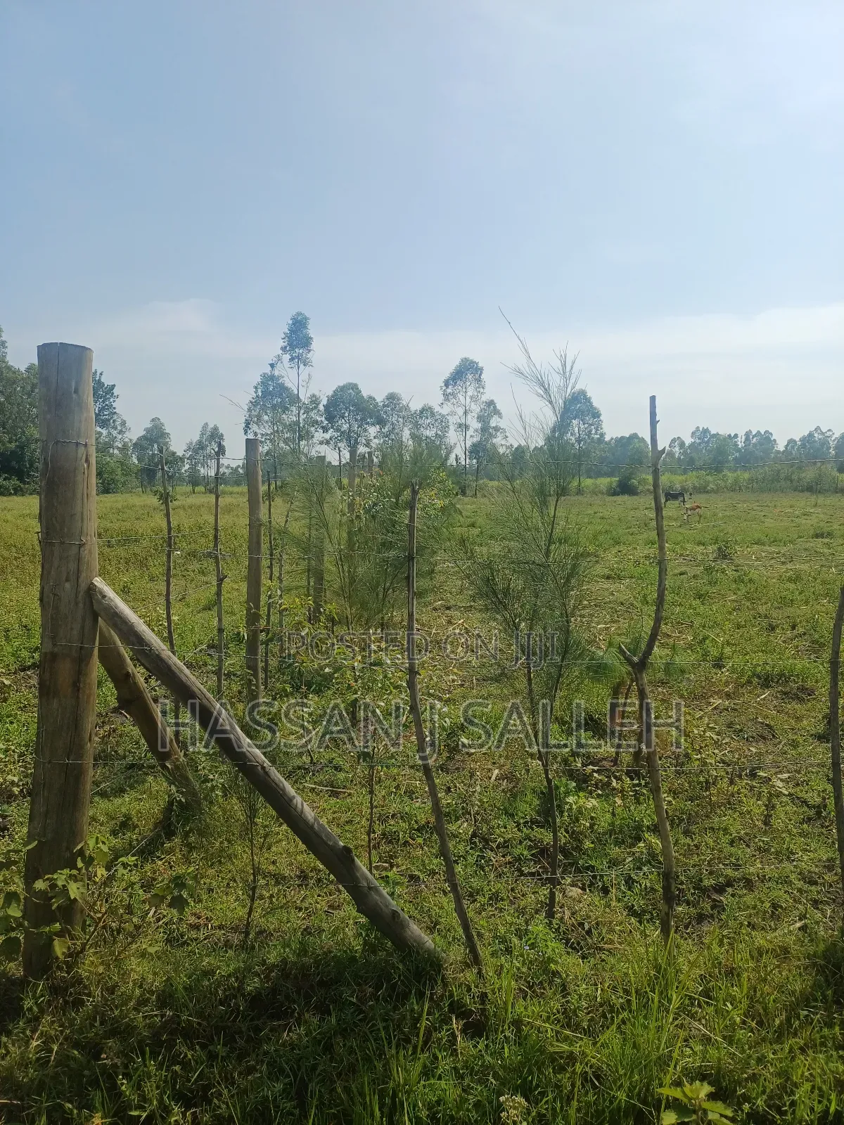 1 Acre Lureko Mumias. in Mumias Central