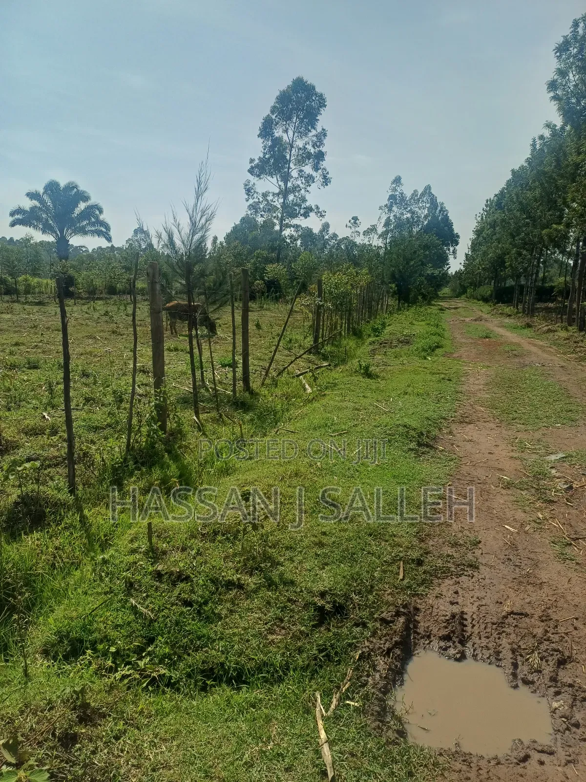 1 Acre Lureko Mumias. in Mumias Central