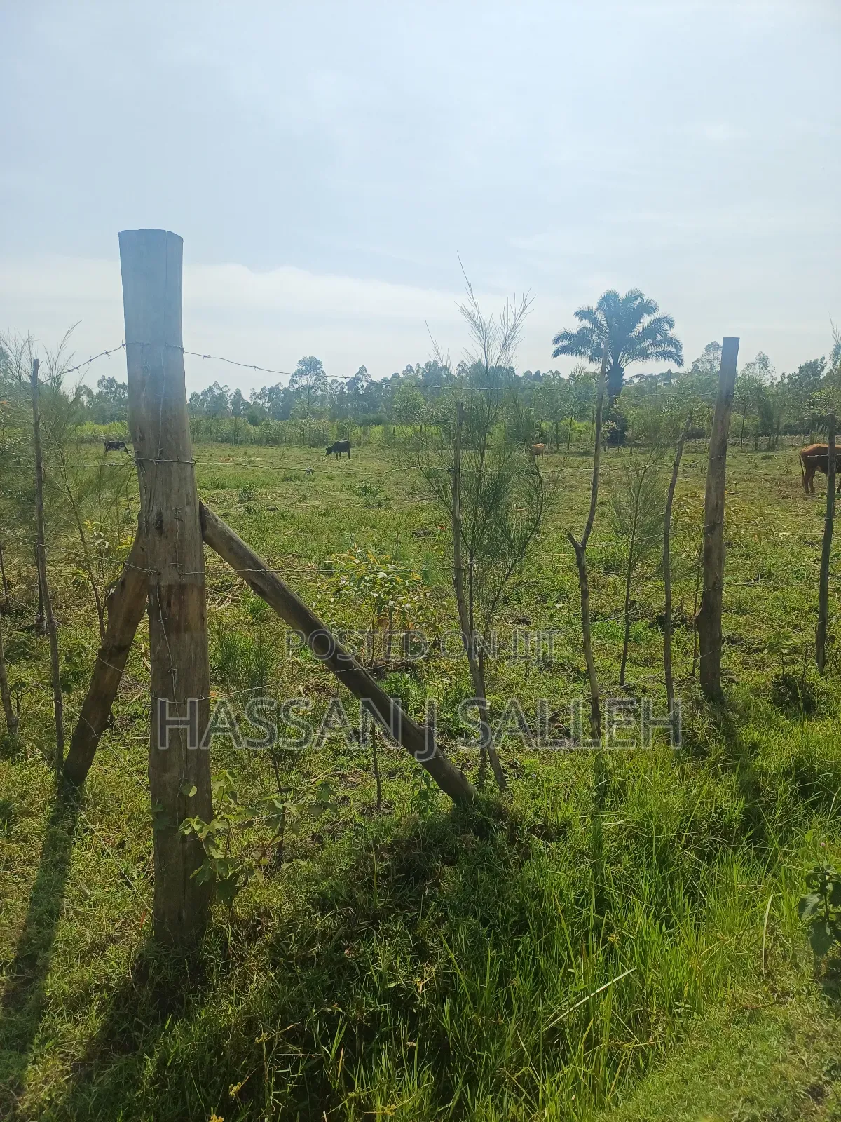 1 Acre Lureko Mumias. in Mumias Central
