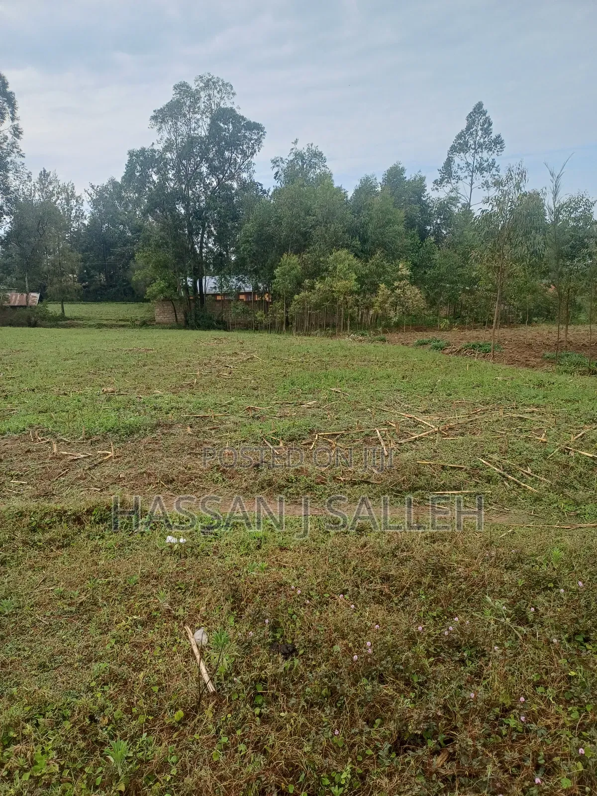 2 Plots 4 Sale Mumias Town. in Mumias Central