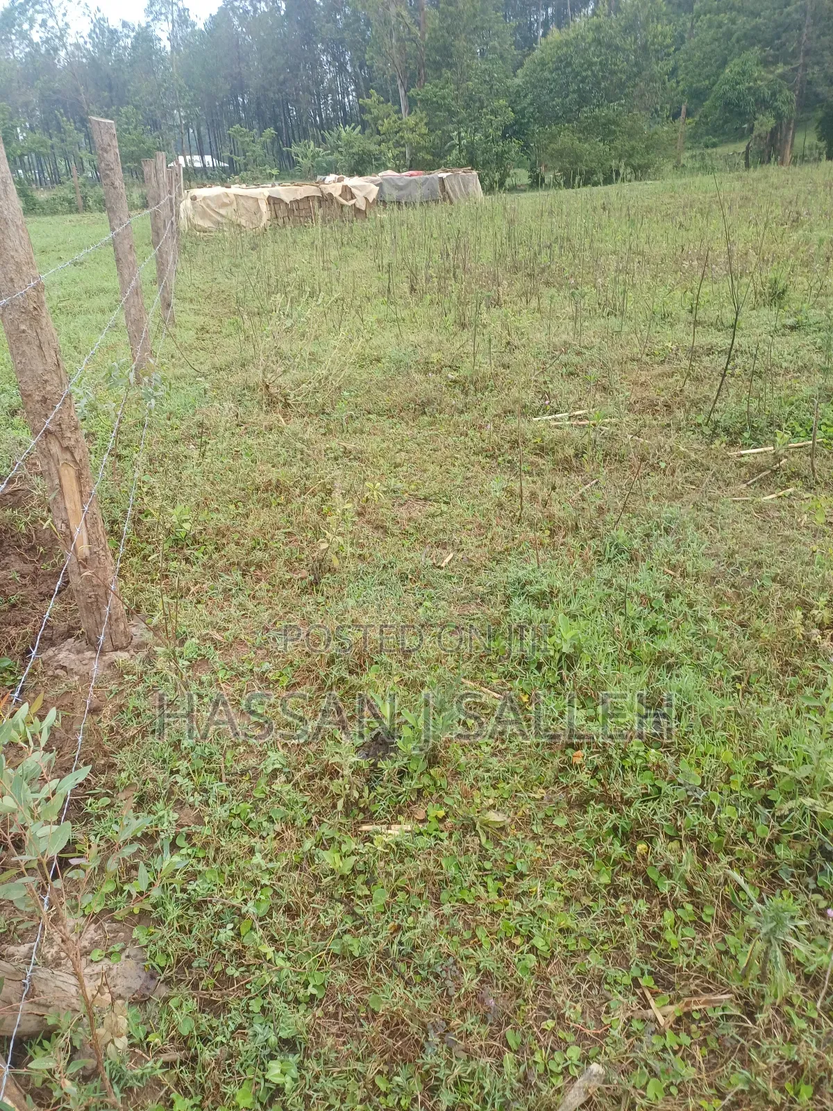 2 Plots 4 Sale Mumias Town. in Mumias Central