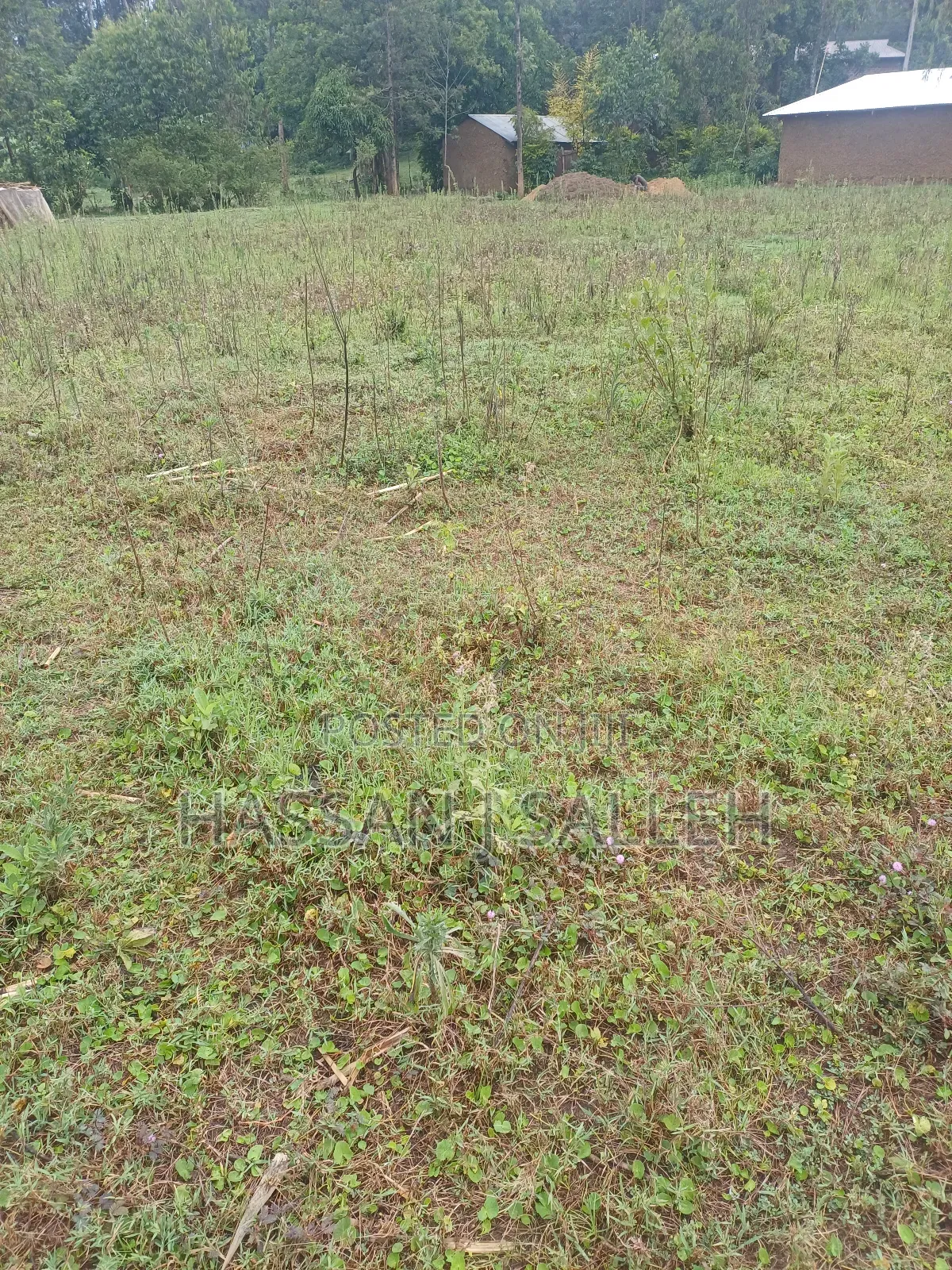 2 Plots 4 Sale Mumias Town. in Mumias Central