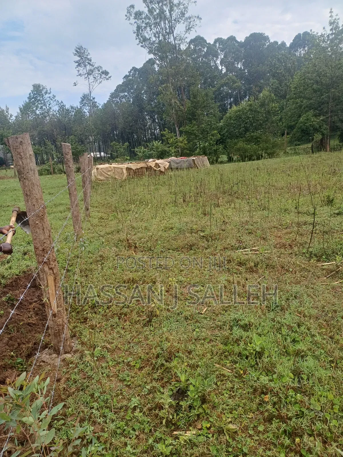 2 Plots 4 Sale Mumias Town. in Mumias Central