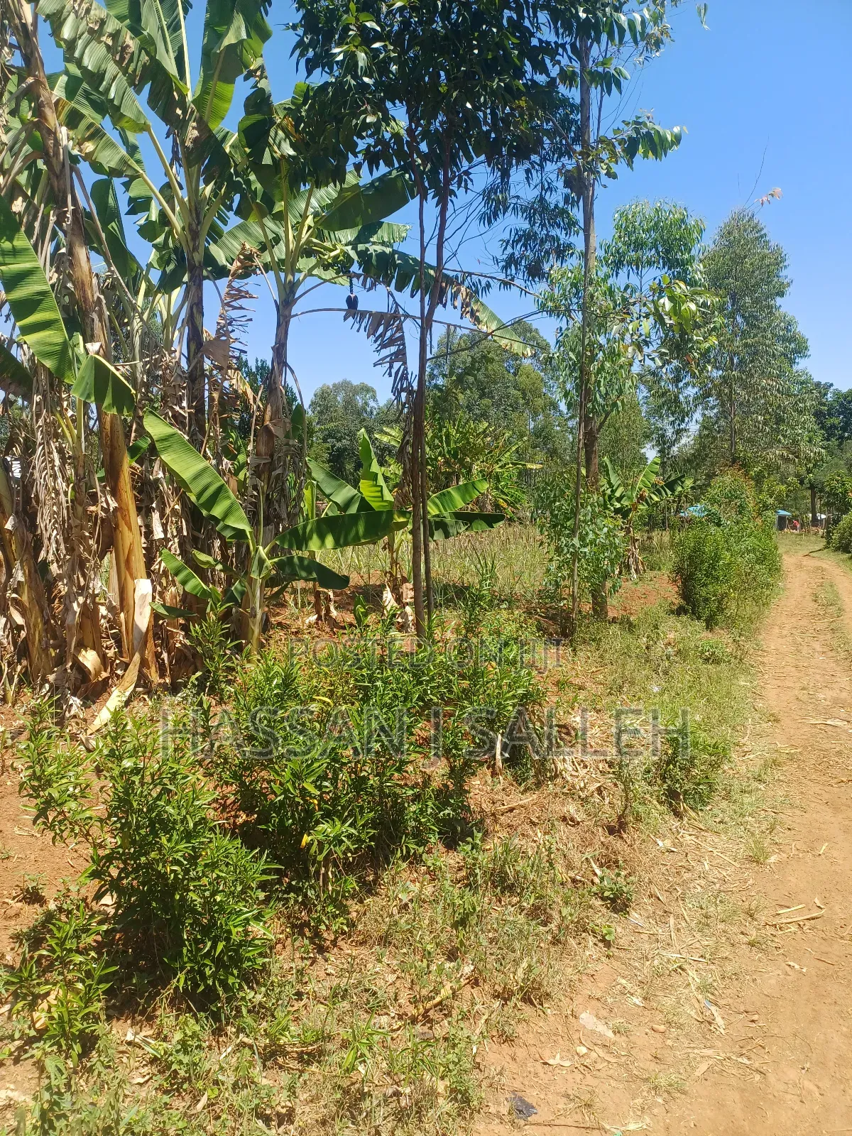 1acre Ekero on Sale. in Mumias Central