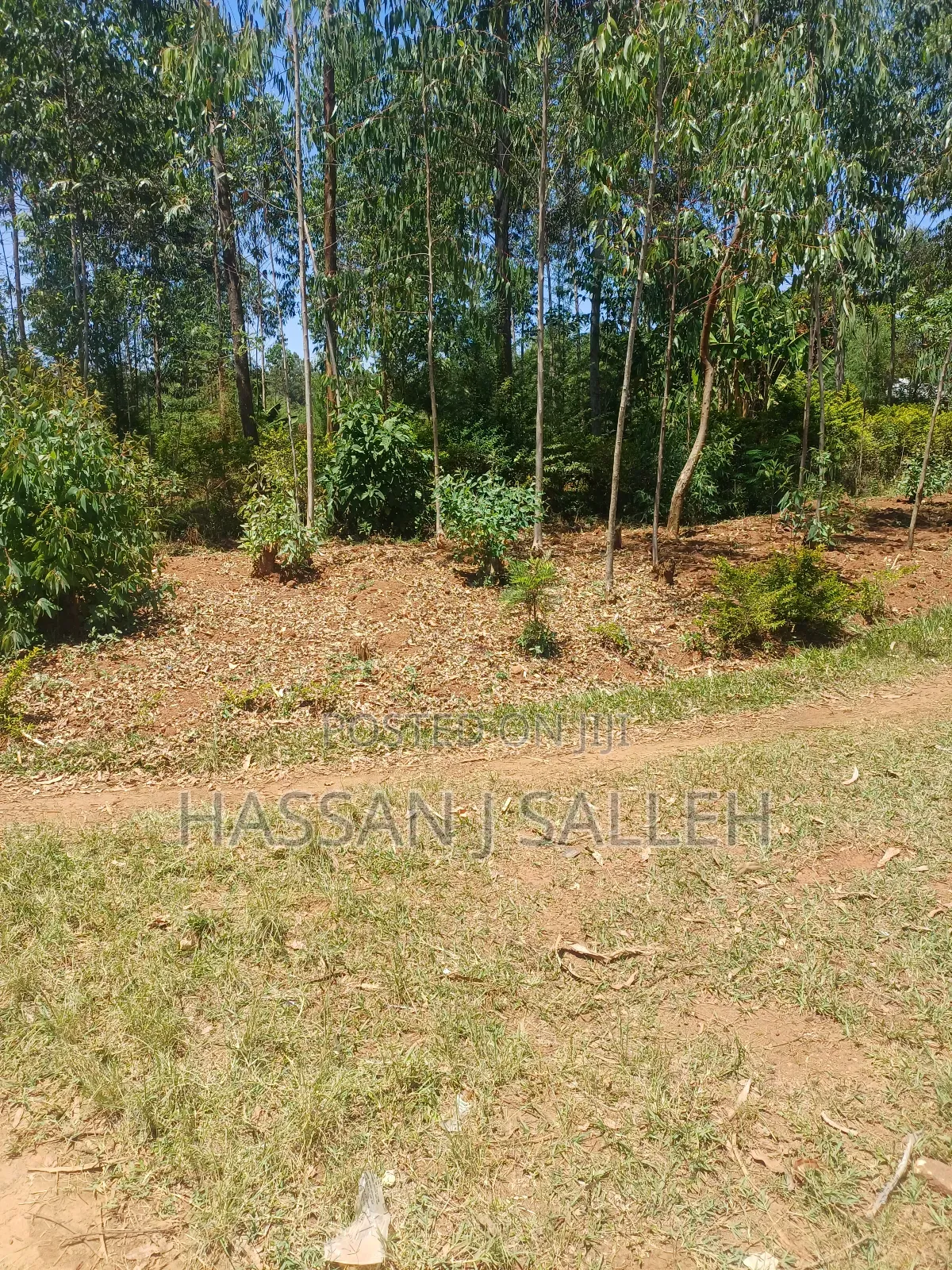 1acre Ekero on Sale. in Mumias Central
