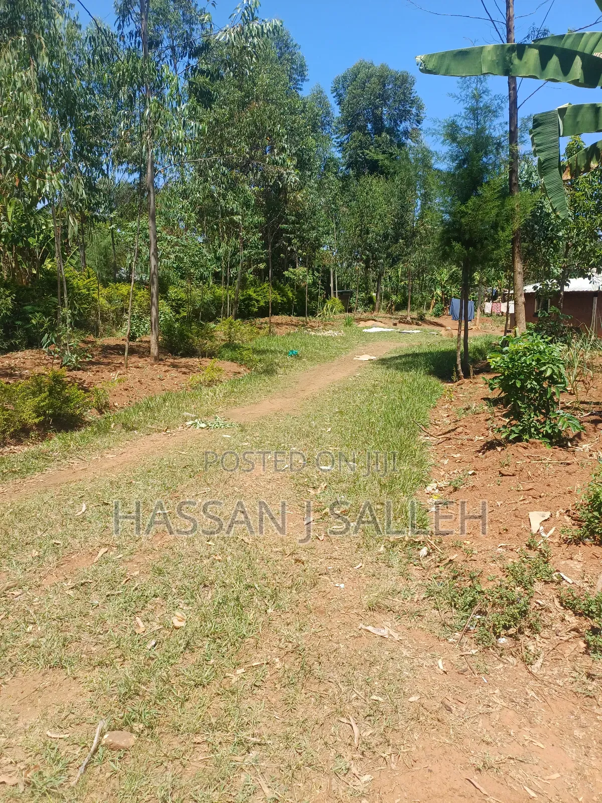 1acre Ekero on Sale. in Mumias Central