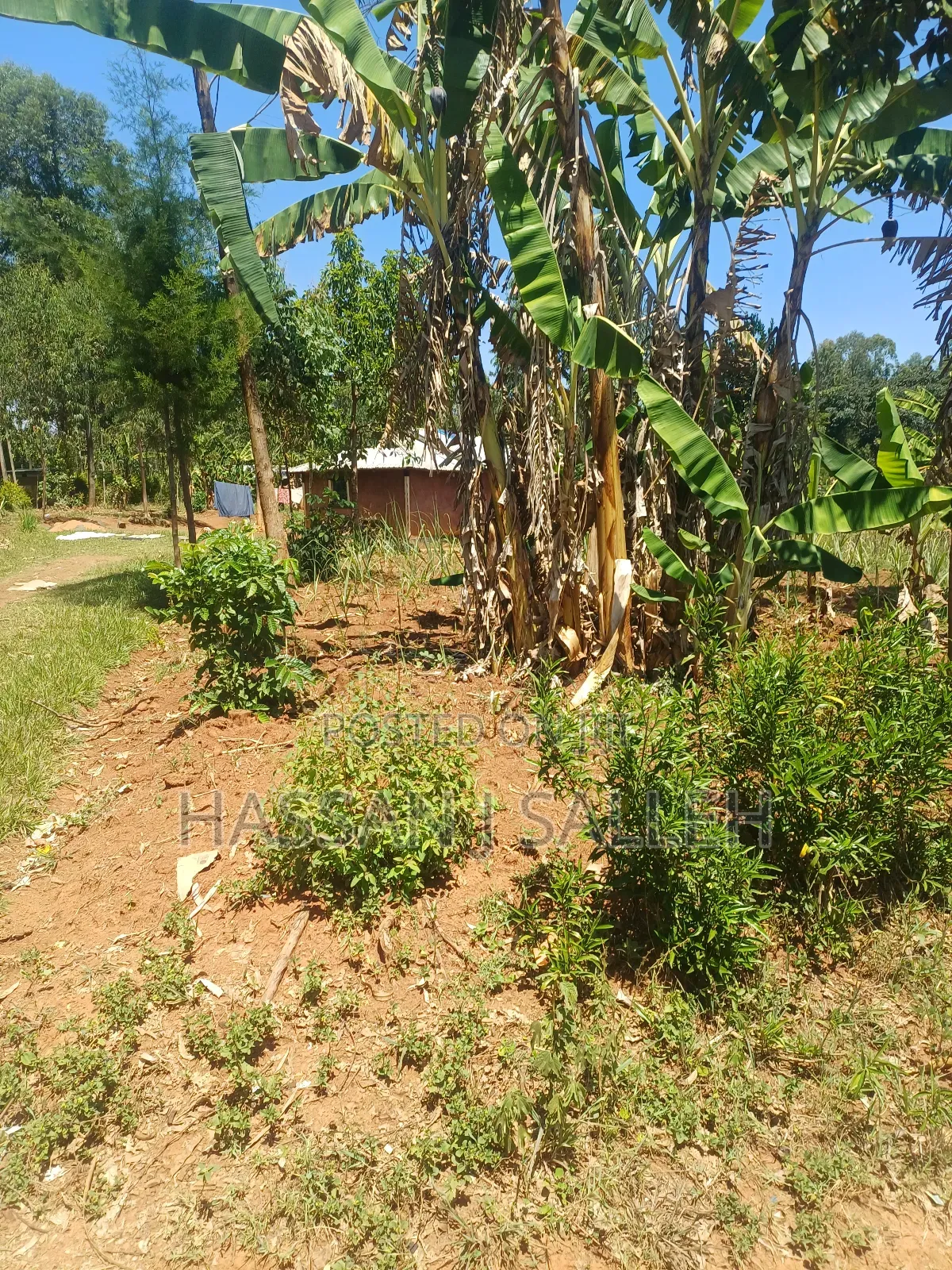 1acre Ekero on Sale. in Mumias Central