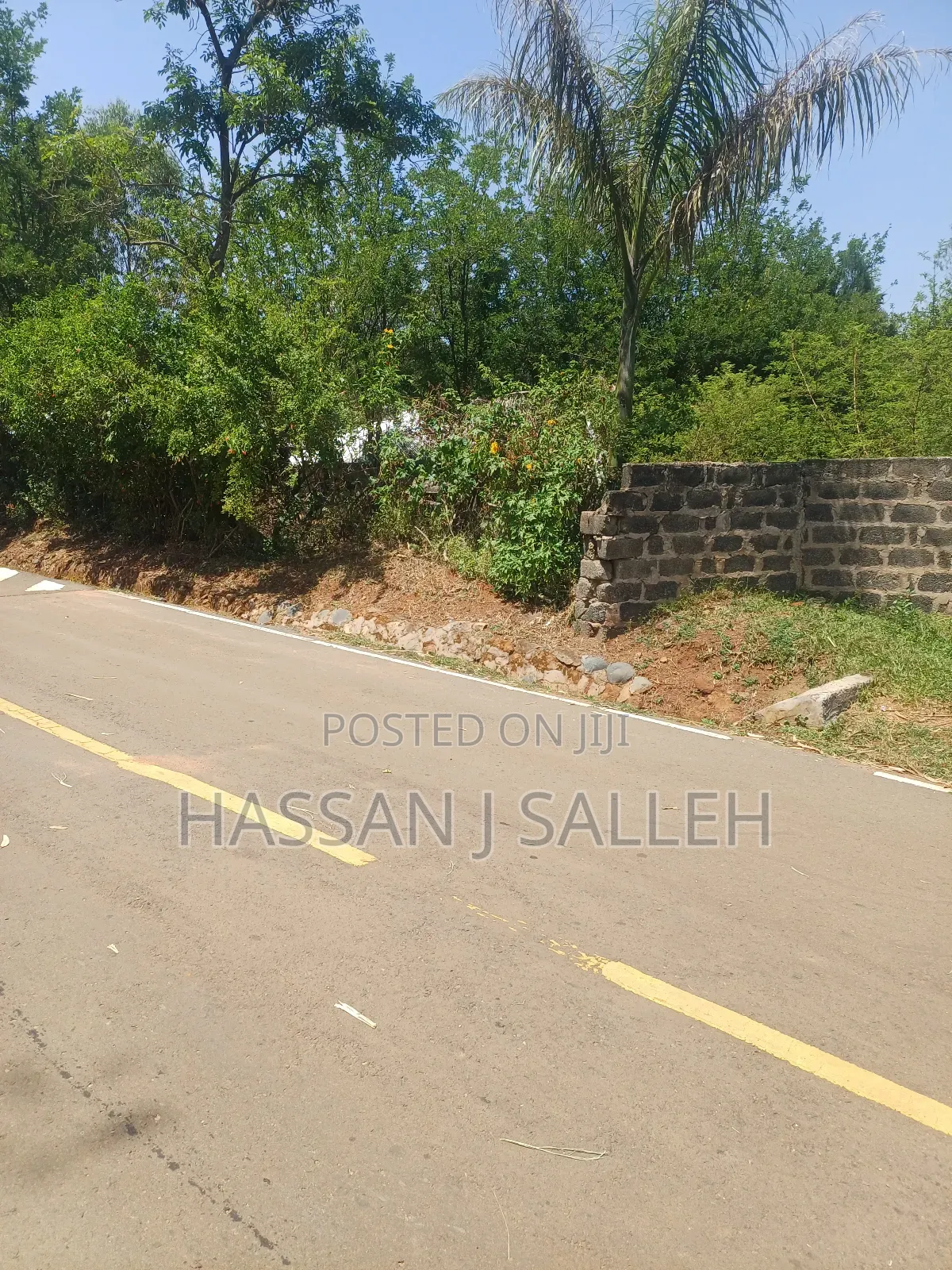 2 Plots 4 Sale in Mumias. in Mumias Central