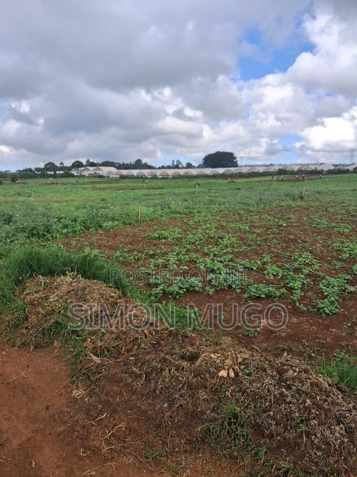 Redhill Limuru Road Prime 1.5 Acres Fairy Flat. Ideal for Town Houses in Ngecha