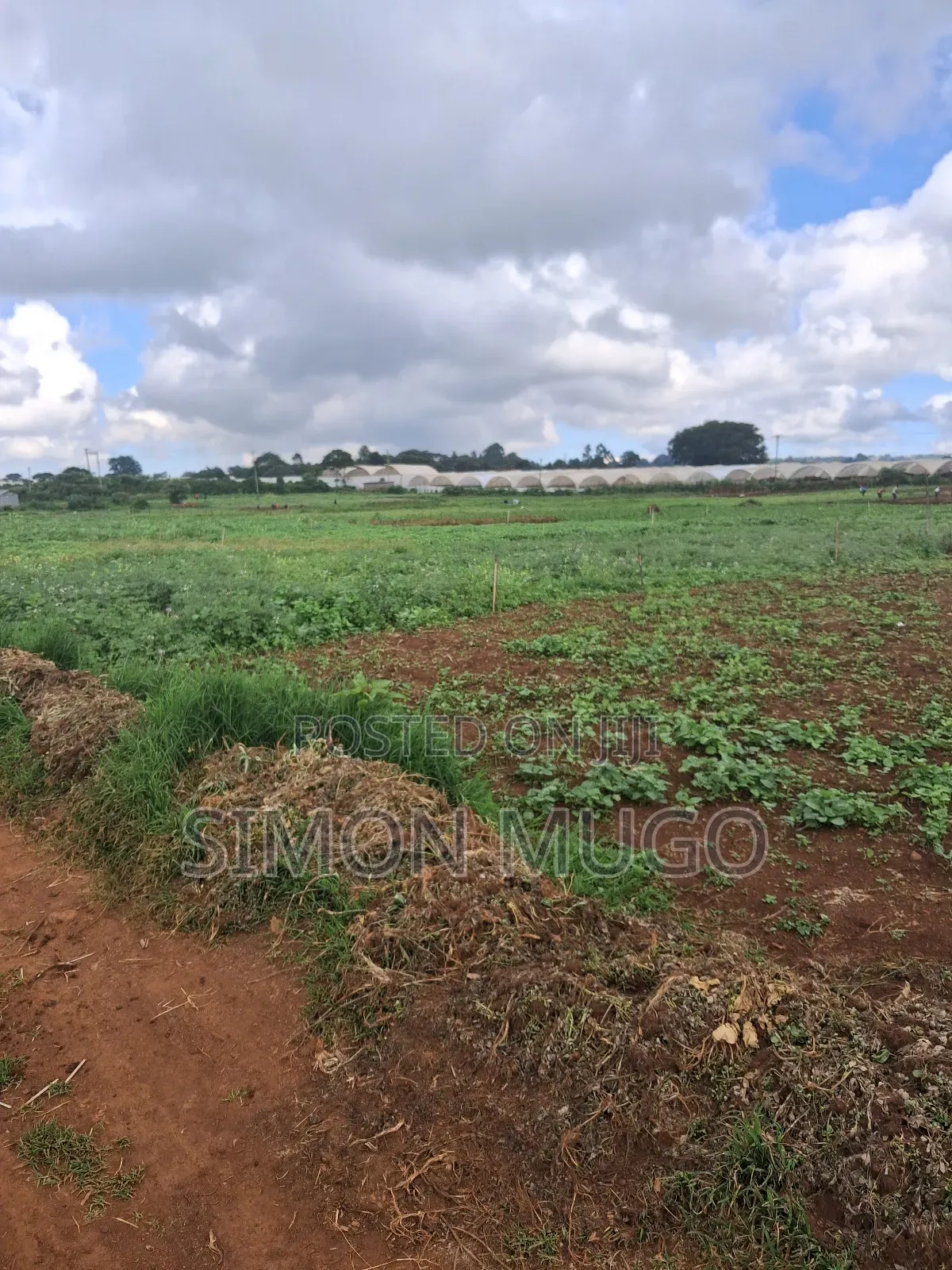 Redhill Limuru Road Prime 1.5 Acres Fairy Flat. Ideal for Town Houses in Ngecha