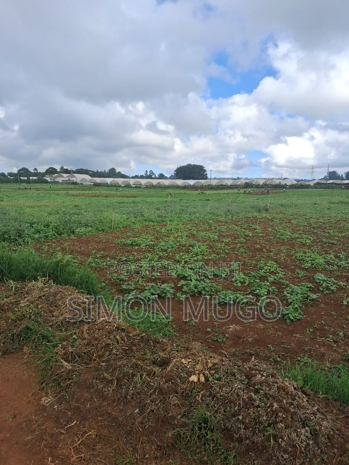 Redhill Limuru Road Prime 1.5 Acres Fairy Flat. Ideal for Town Houses in Ngecha