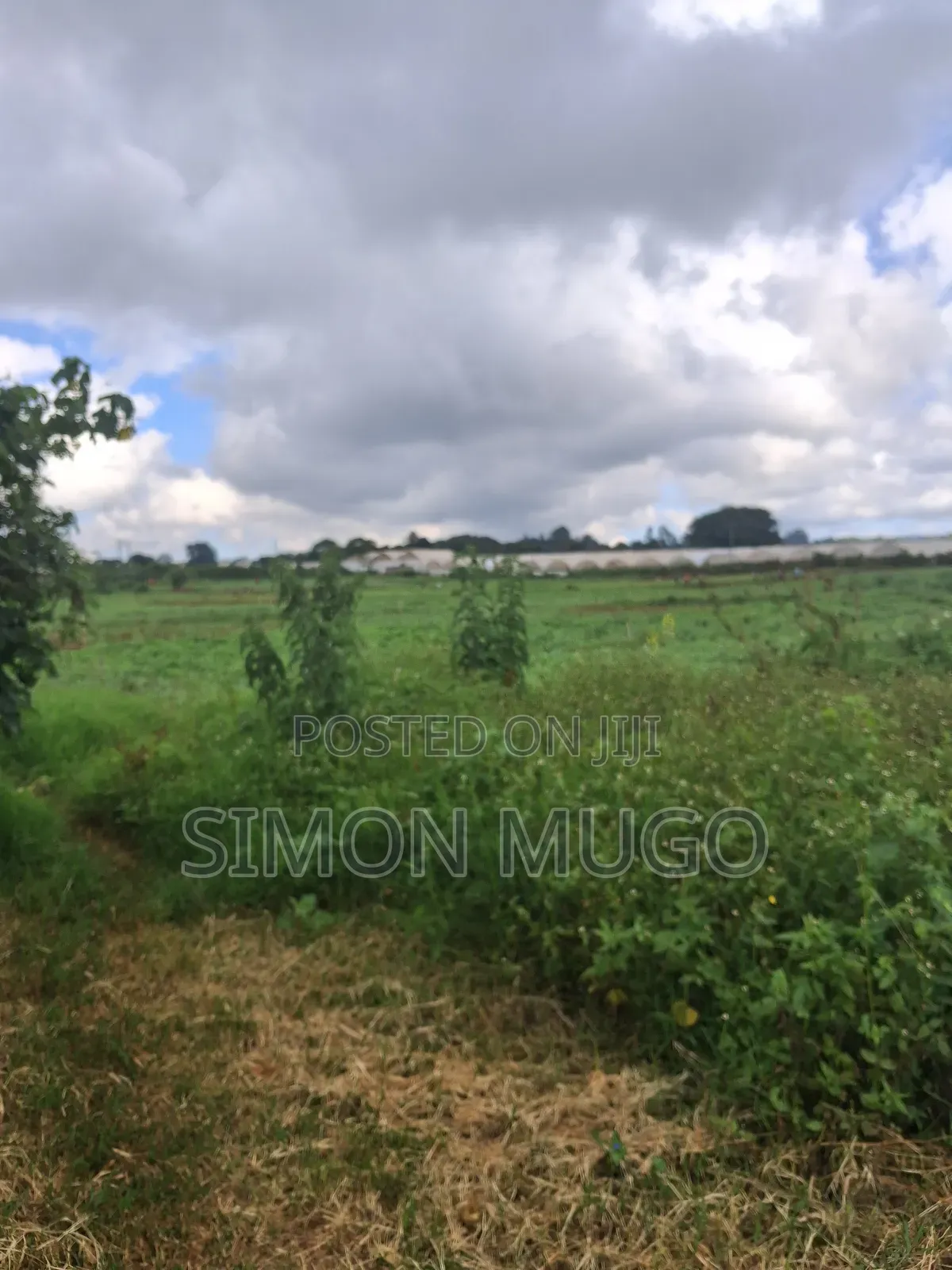 Redhill Limuru Road Prime 1.5 Acres Fairy Flat. Ideal for Town Houses in Ngecha