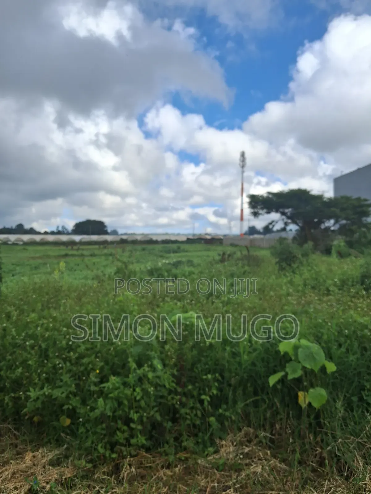 Redhill Limuru Road Prime 10 Acres Fairy Flat,Ideal for Town Houses in Ngecha