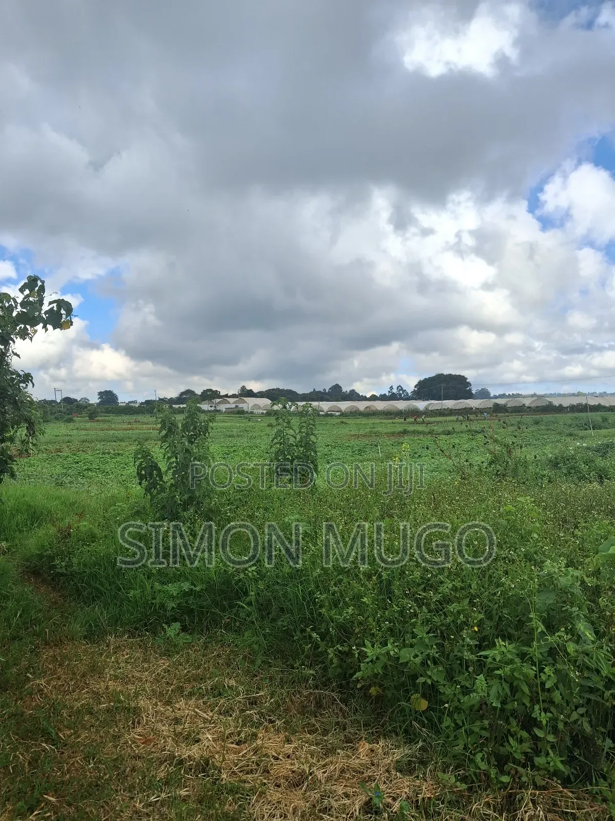 Redhill Limuru Road Prime 10 Acres Fairy Flat,Ideal for Town Houses in Ngecha
