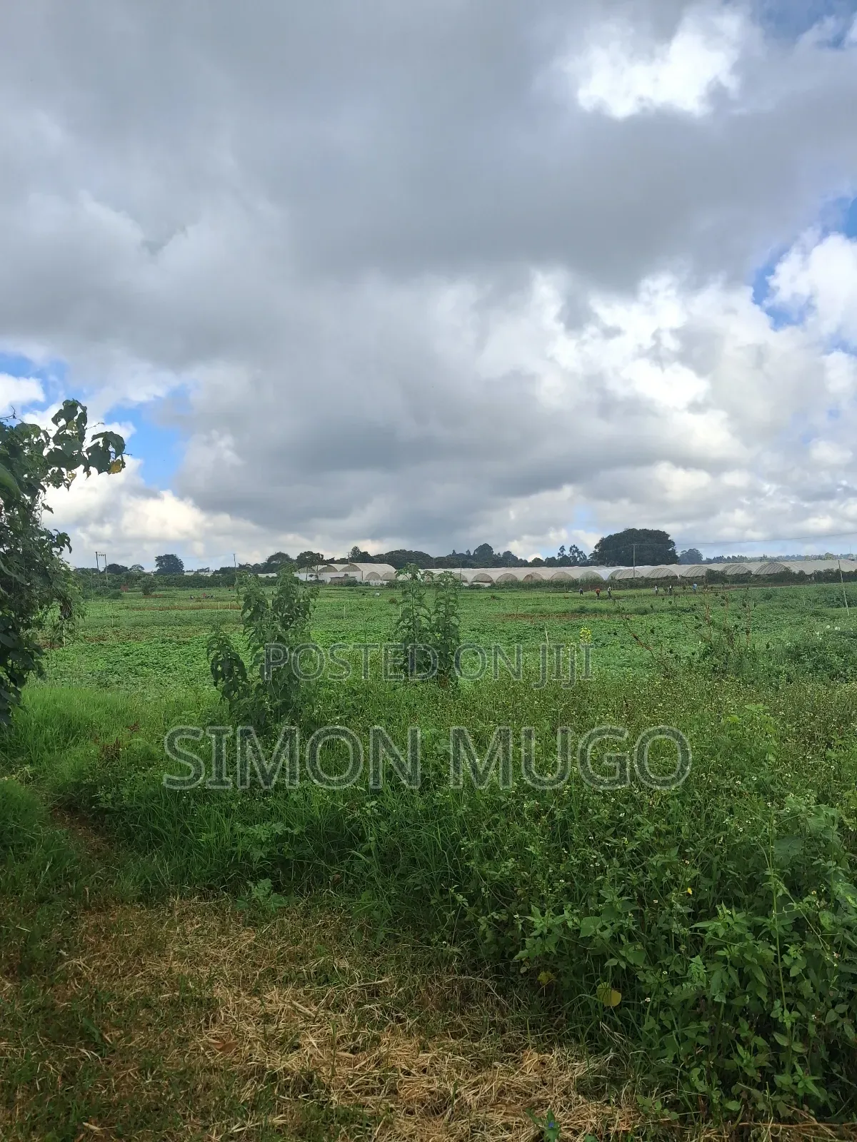 Redhill Limuru Road Prime 10 Acres Fairy Flat,Ideal for Town Houses in Ngecha
