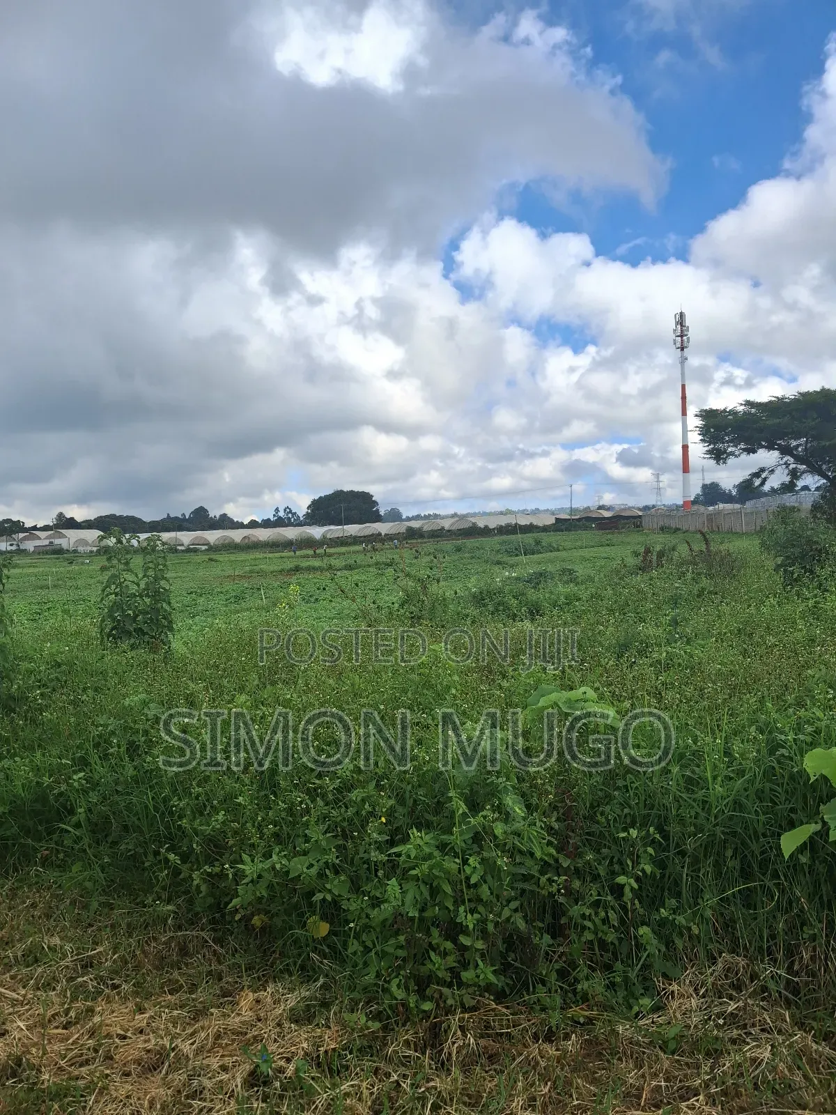 Redhill Limuru Road Prime 10 Acres Fairy Flat,Ideal for Town Houses in Ngecha
