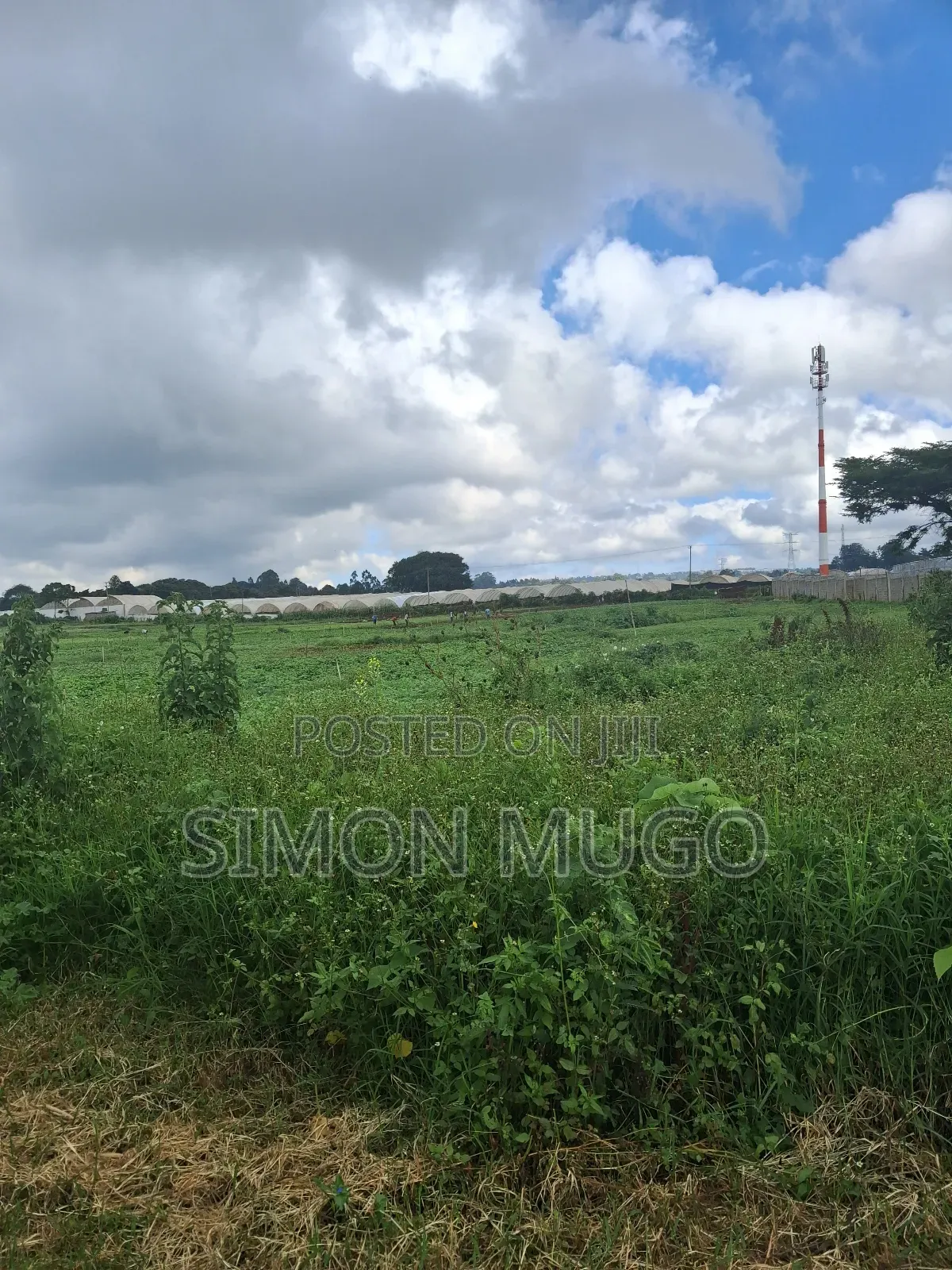 Redhill Limuru Road Prime 10 Acres Fairy Flat,Ideal for Town Houses in Ngecha