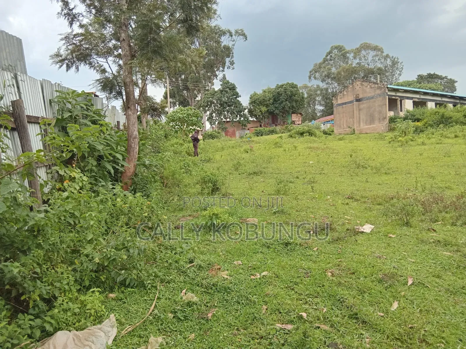 1⁄2 an Acre in Kakamega, Near Cereal Board in Sheywe