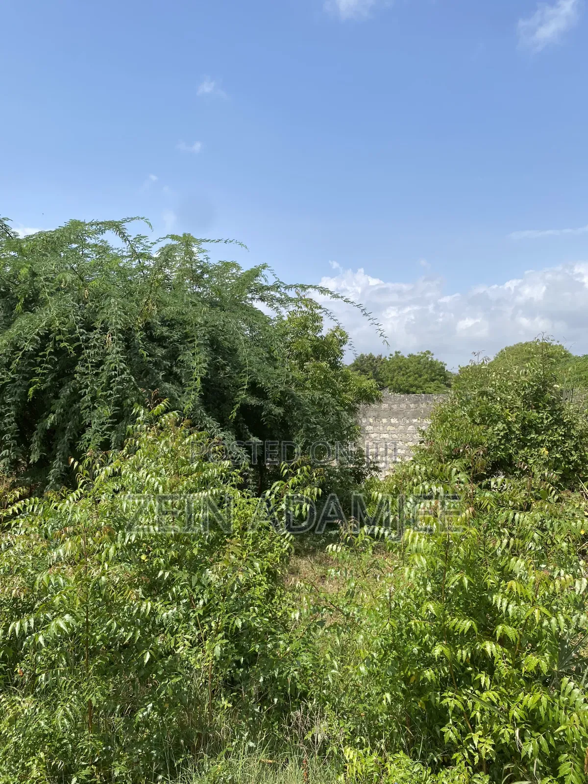 Half Acre for Sale Kibokoni Malindi in Town Centre