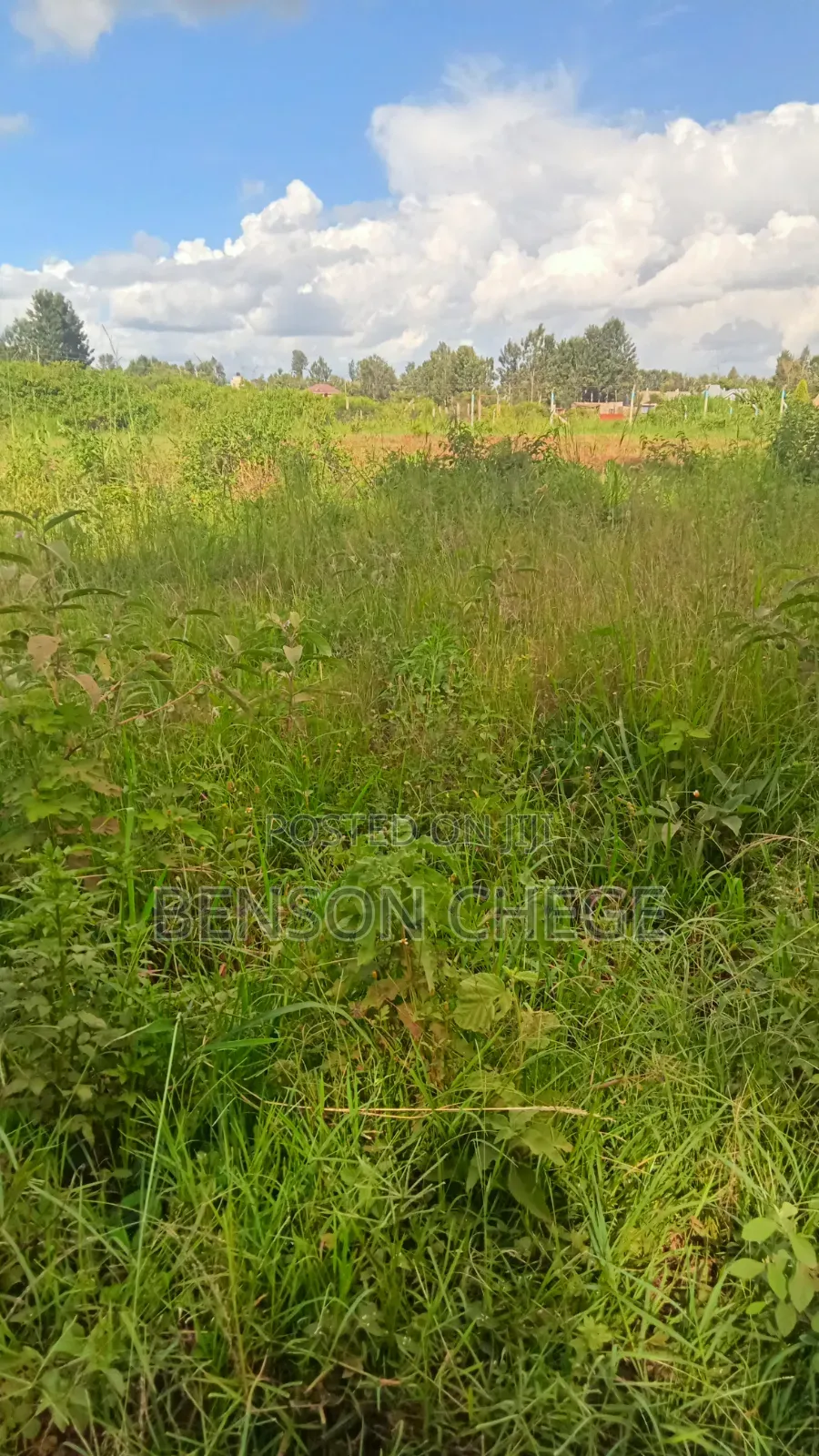 Half an Acre for Sale at Mbombo in Kambiti