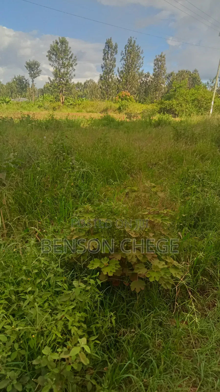 Half an Acre for Sale at Mbombo in Kambiti