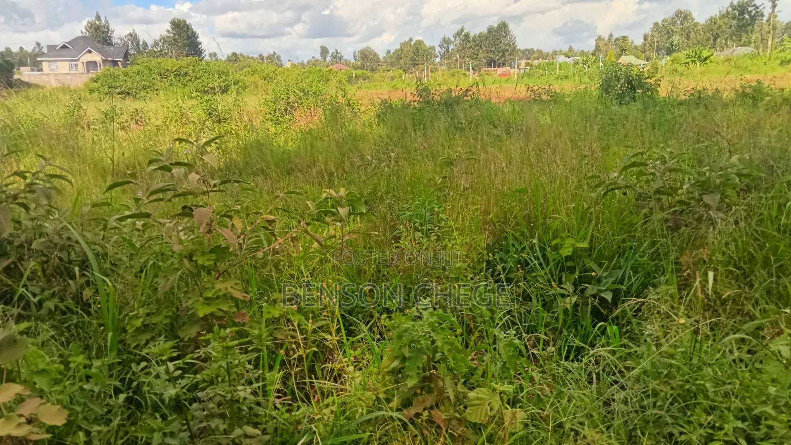 Half an Acre for Sale at Mbombo in Kambiti