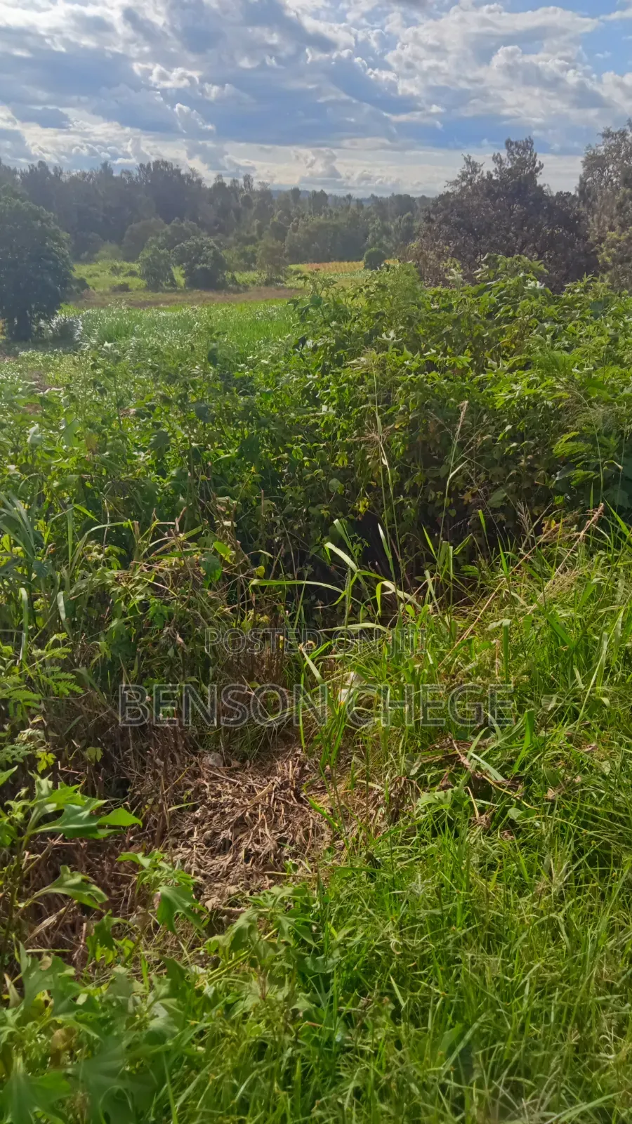 1acre for Sale at Mbombo in Kambiti