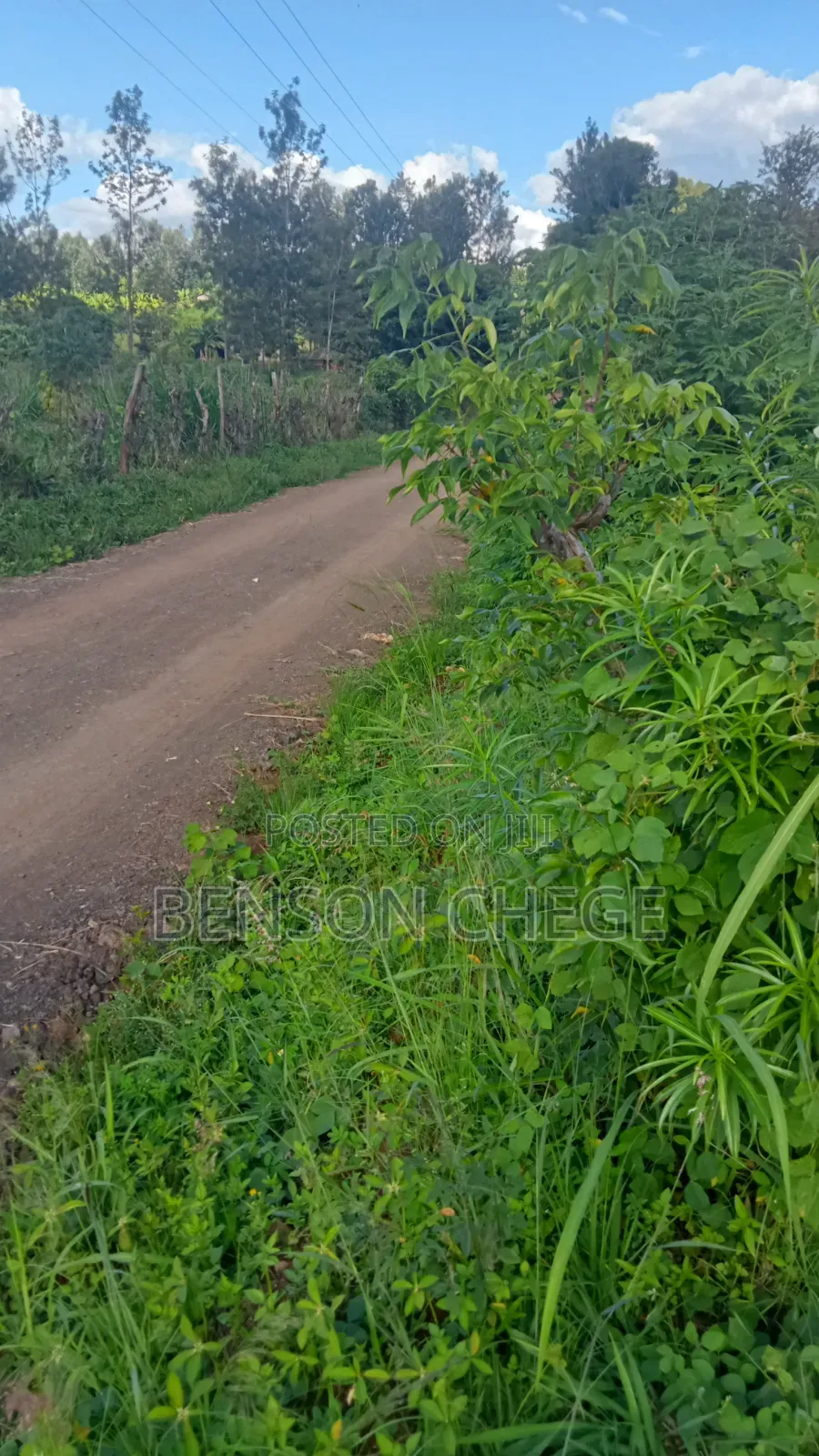 1,Acre for Sale at Ikundu Mbombo Murang'A in Nginda