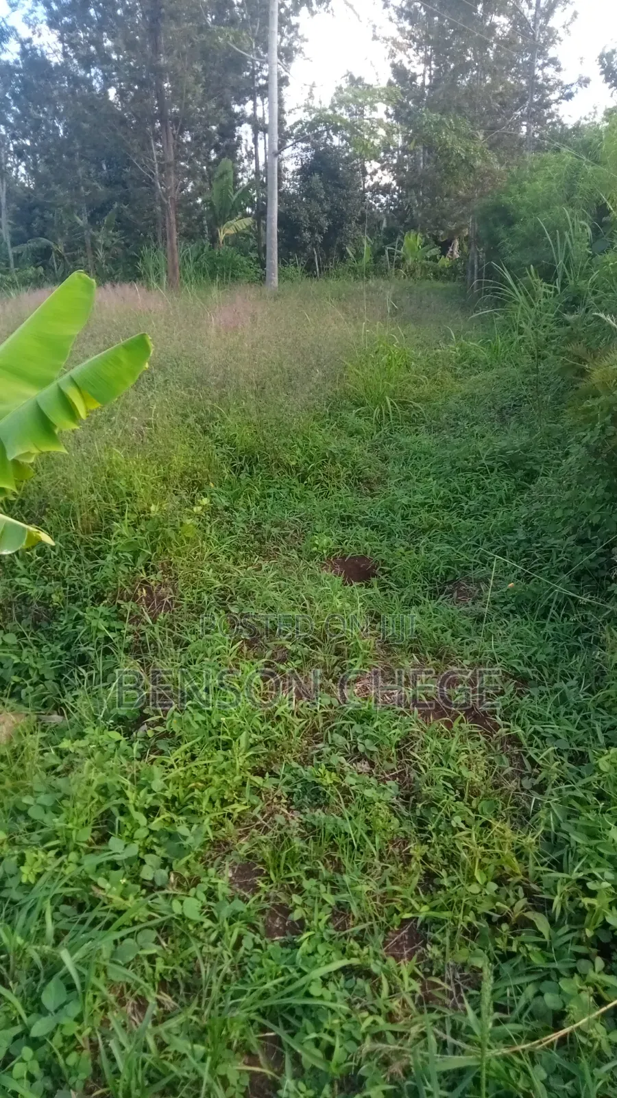 1,Acre for Sale at Ikundu Mbombo Murang'A in Nginda