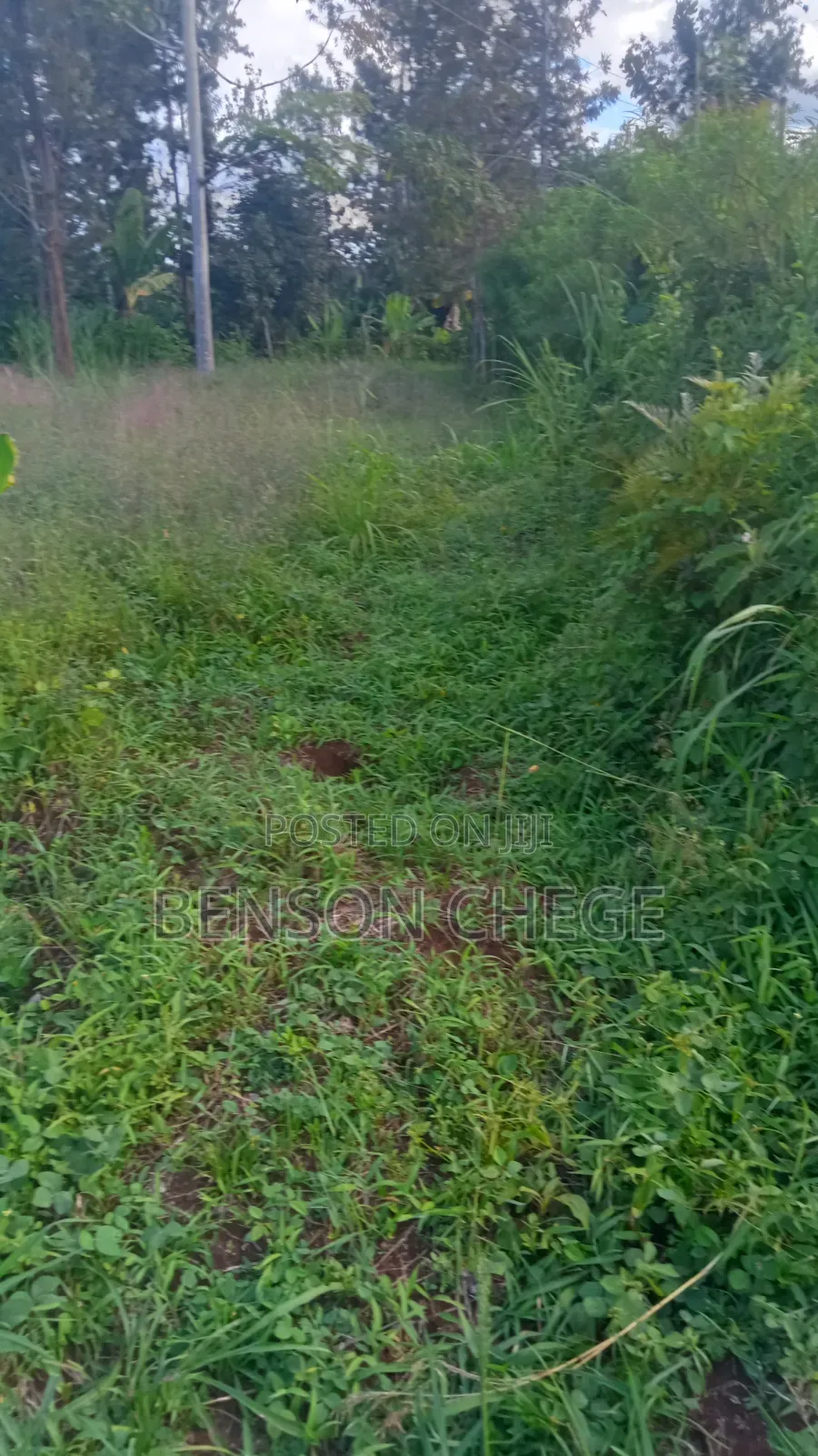 1,Acre for Sale at Ikundu Mbombo Murang'A in Nginda