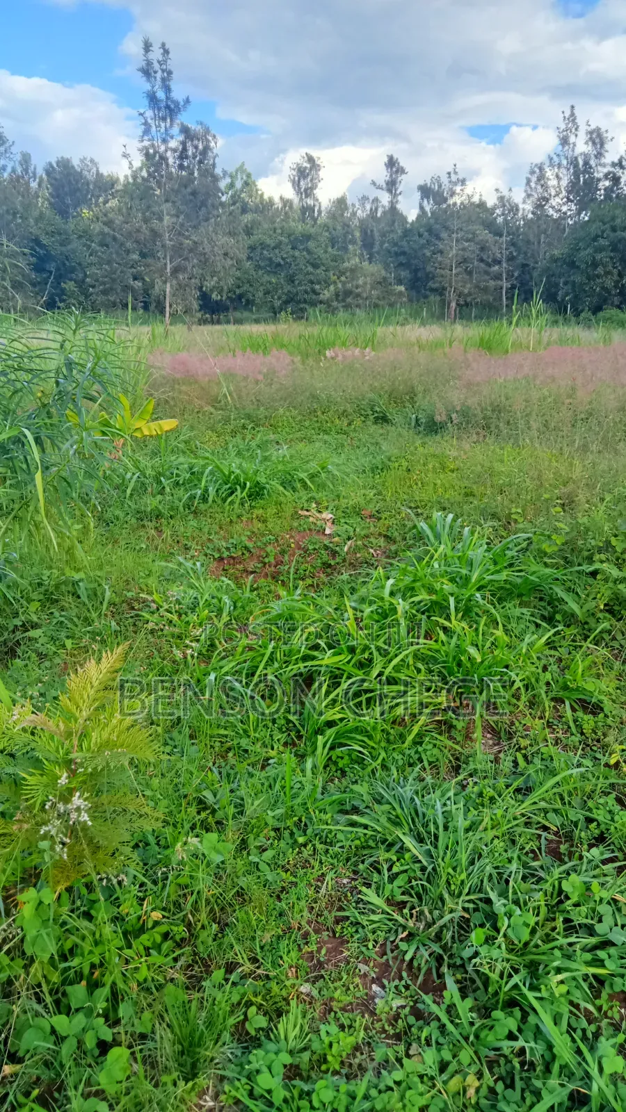 1,Acre for Sale at Ikundu Mbombo Murang'A in Nginda