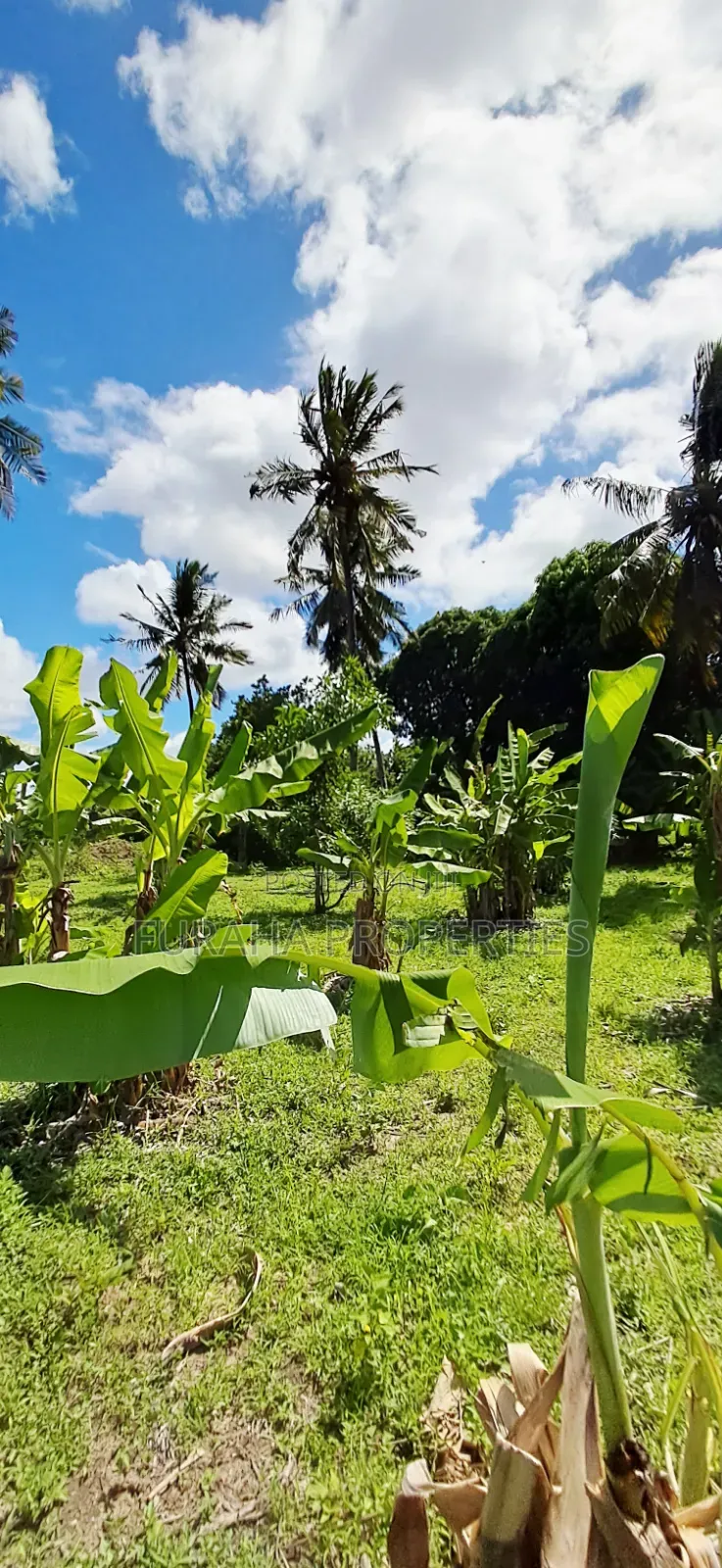 For Sale 14 Acres Land Kikambala in Kikambala