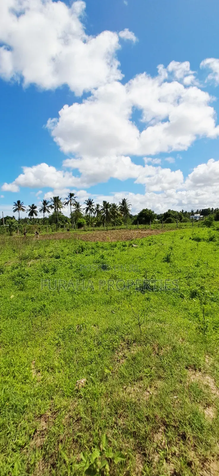 For Sale 14 Acres Land Kikambala in Kikambala