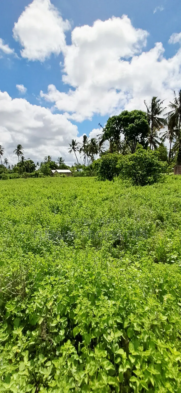 For Sale 14 Acres Land Kikambala in Kikambala