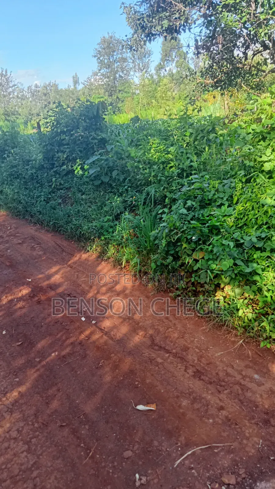 1.5acre for Sale at Maragua Gakoigo in Nginda