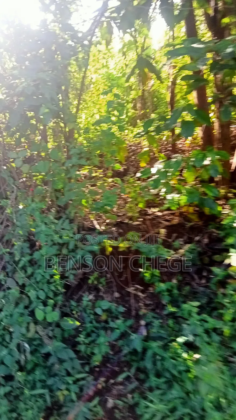 1.5acre for Sale at Maragua Gakoigo in Nginda