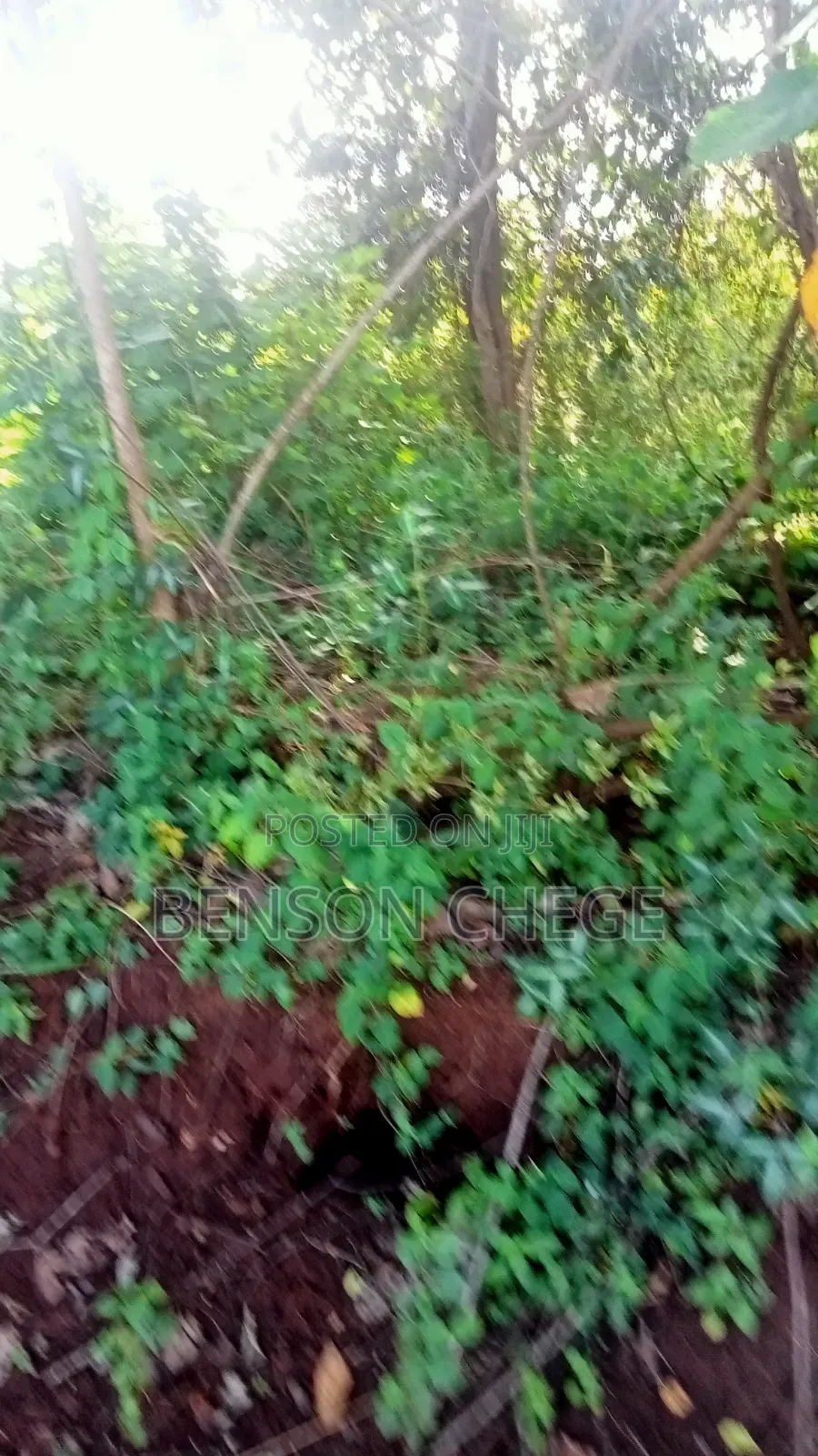 1.5acre for Sale at Maragua Gakoigo in Nginda