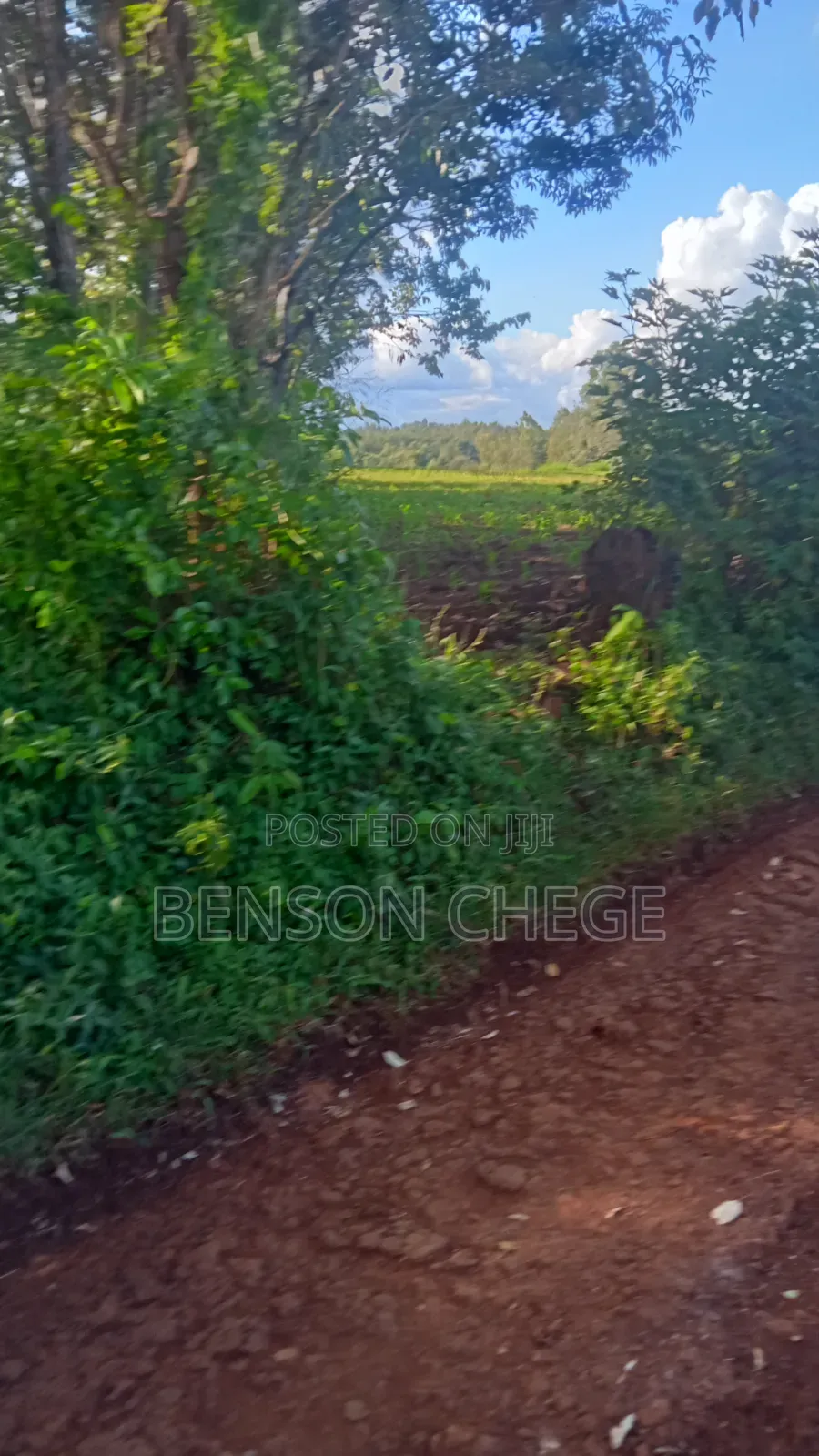 1.5acre for Sale at Maragua Gakoigo in Nginda