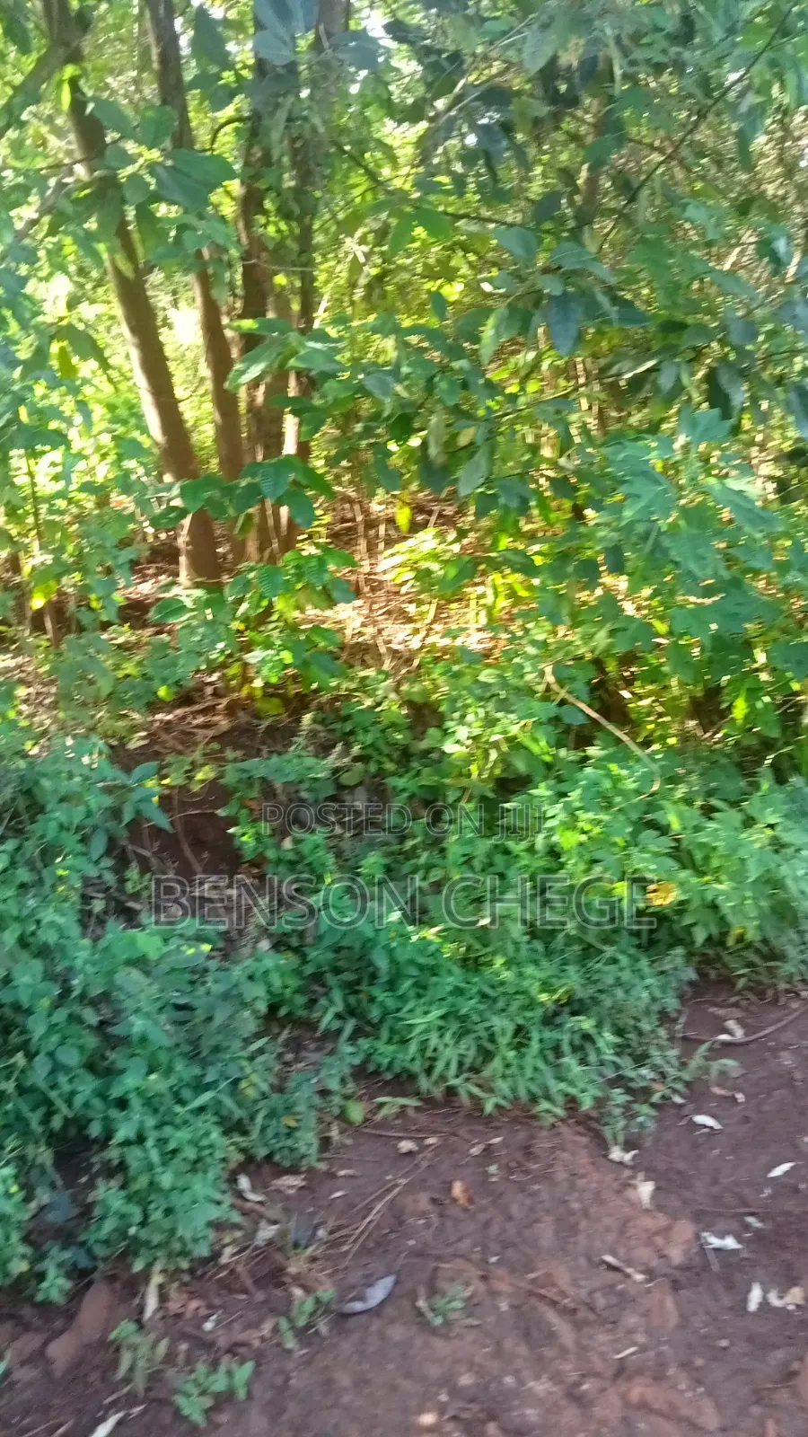 1.5acre for Sale at Maragua Gakoigo in Nginda