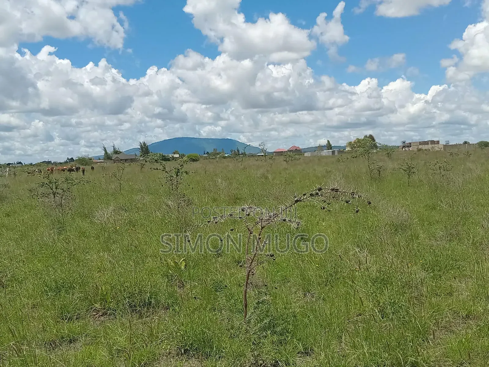 Kantafu Kangundo Road Prime 2ac Behind Rubis Petrol Station in Kisaju
