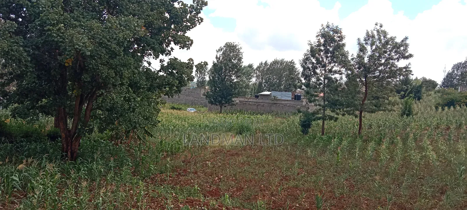 Kenol-Gathanje Estate Plot in Makuyu