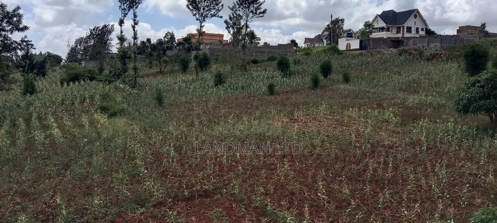 Kenol-Gathanje Estate Plot in Makuyu